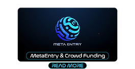 MetaEntry & Crowd Funding