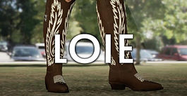 LOIE & MetaEntry